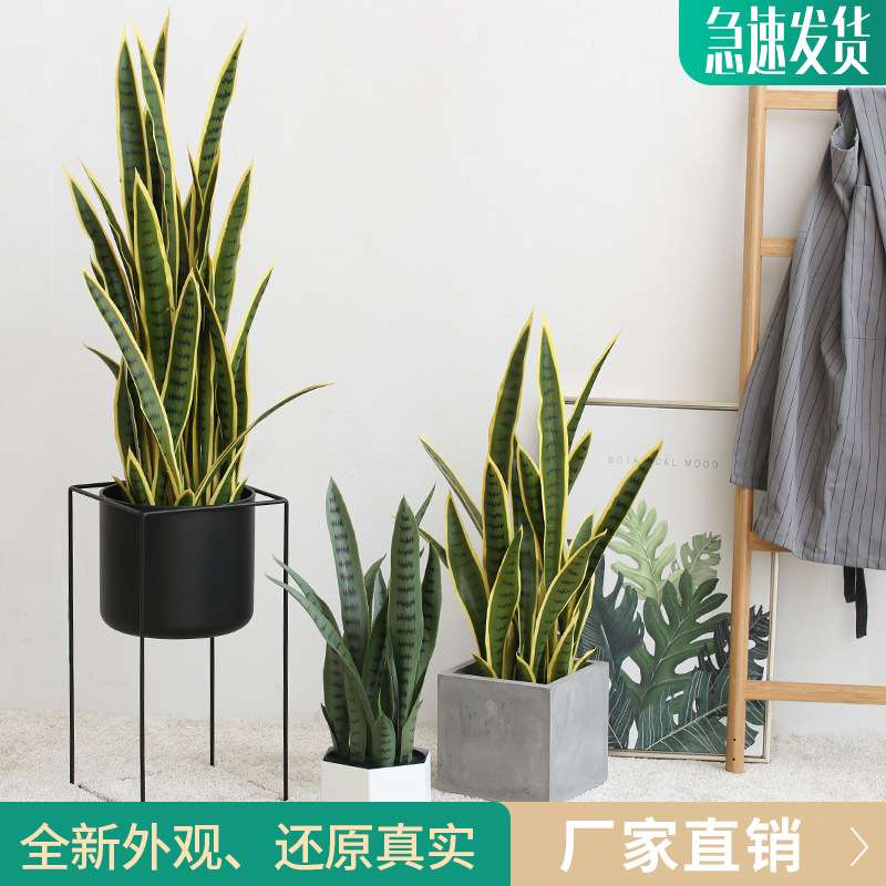 仿真虎皮兰盆栽室内客厅摆件服装店落地装饰假绿植仿真植物虎皮兰
