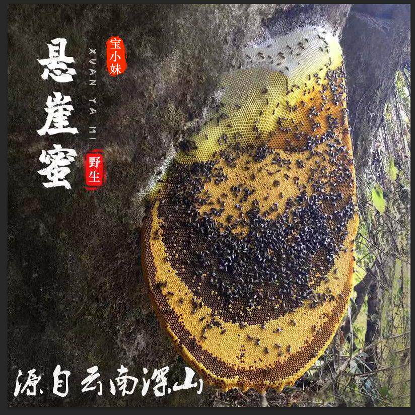 云南原始深林野生悬崖蜜 崖蜜 岩蜜 500g包邮