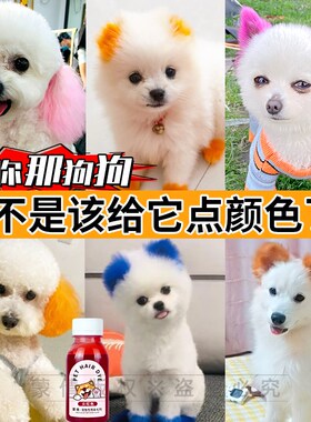 蒙倩狗狗专用染发膏宠物美发膏樱花粉红橙色泰迪狗博美犬染毛膏剂