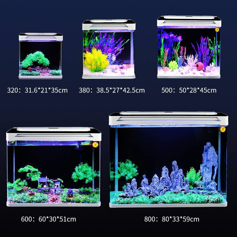 玻璃金鱼缸过滤制氧一体机客厅小型家用懒人免换水生态自循环