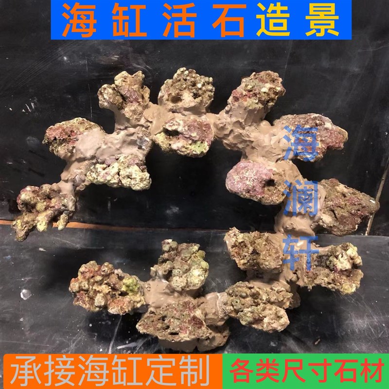 海缸活石造景定制远海高钙石死石造景小海缸造景悬浮造景石珊瑚石