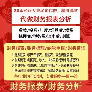 财务报表分析 会计做账财务梳理纳税申报利润表明细账表 代做代写