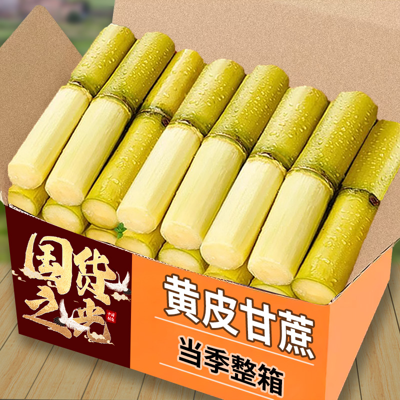 正宗黄金甘蔗新鲜水果9斤当季特