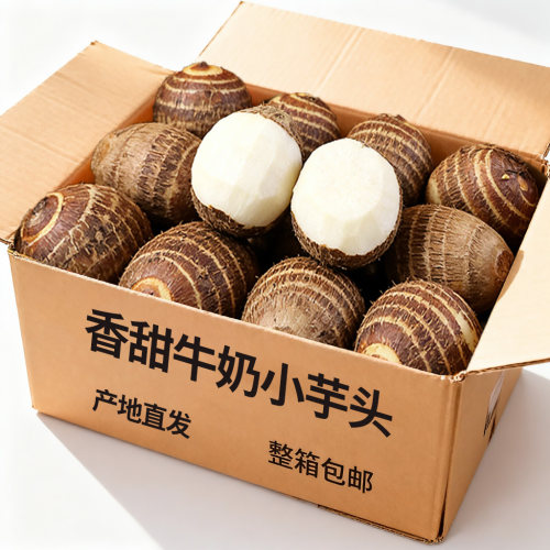 新鲜牛奶小芋头10-20个农家自种