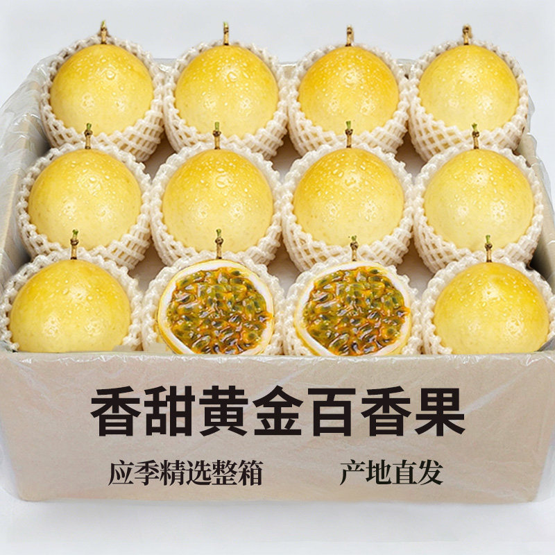 精品黄金百香果15个▲仅限一份▲