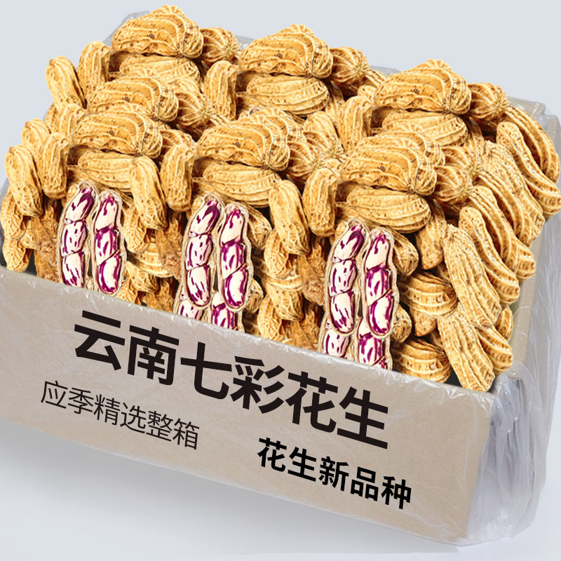 新鲜云南七彩花生新鲜现摘花生米农家自种花生米带壳花生新鲜包邮