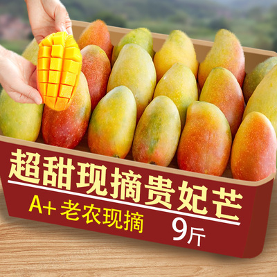 海南贵妃芒新鲜芒果9斤当季水果树上熟大红金玉青辣椒芒整箱包邮