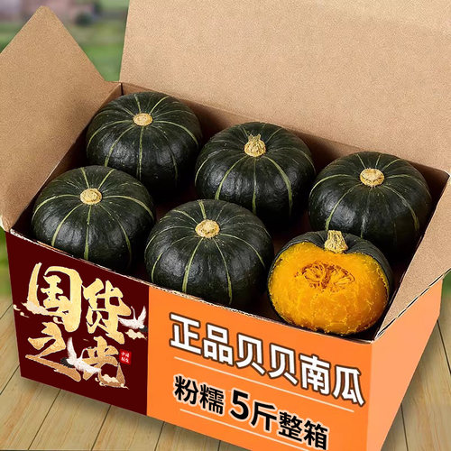 正品贝贝南瓜粉糯5-9个5斤