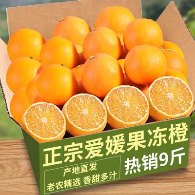 爱媛38号果冻橙新鲜橙子