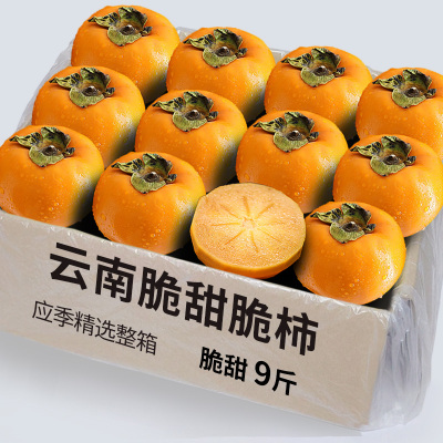 正宗现摘高山巧克力冰糖脆柿子9斤新鲜水果应当季硬火晶脆甜柿子