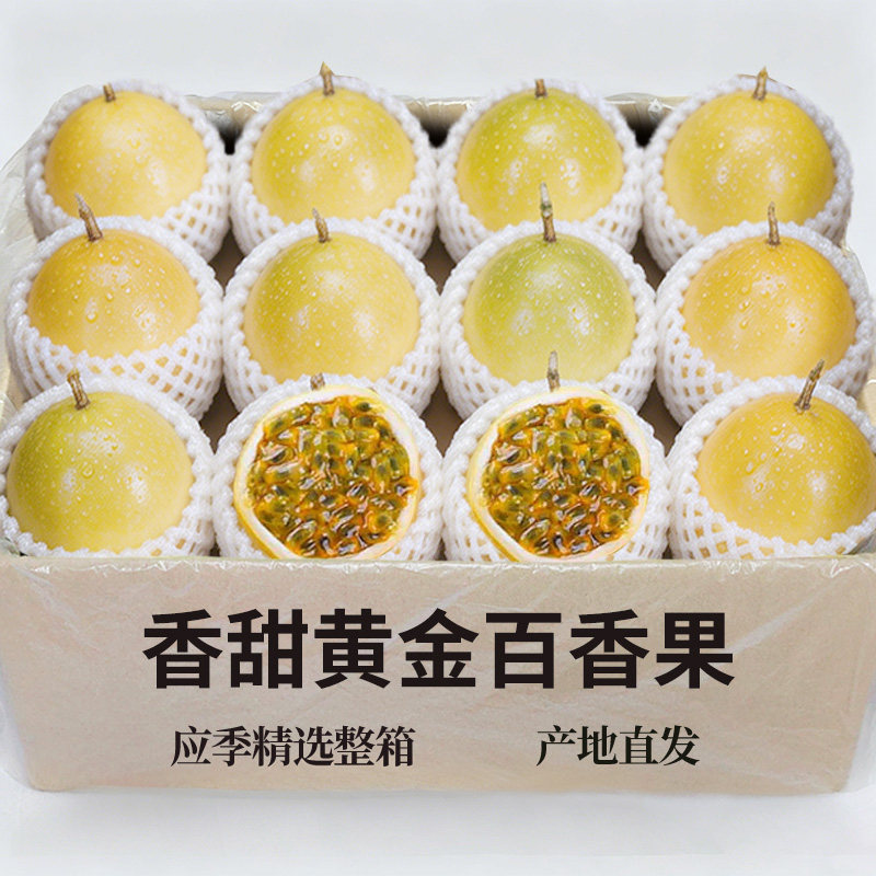 精品黄金百香果15个▲仅限一份▲
