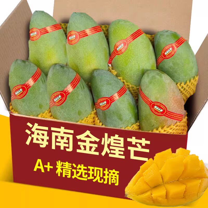 海南金煌芒5斤新鲜芒果