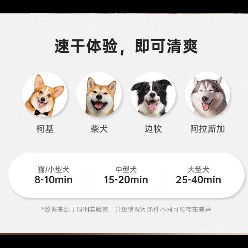 智能宠物吹水机狗狗吹风机大功率静音大型犬猫咪专用烘干吹毛神器