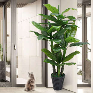 高档仿真绿植盆栽室内客厅装饰摆件仿生散尾葵造景高端轻奢假植物