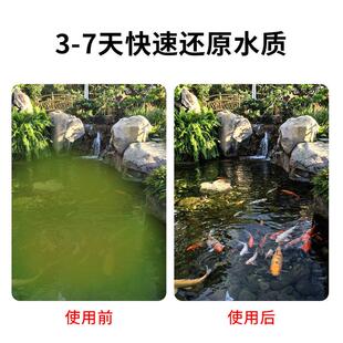 鱼池过滤器水循环系统室内户外庭院锦鲤鱼池净水不锈钢过滤箱