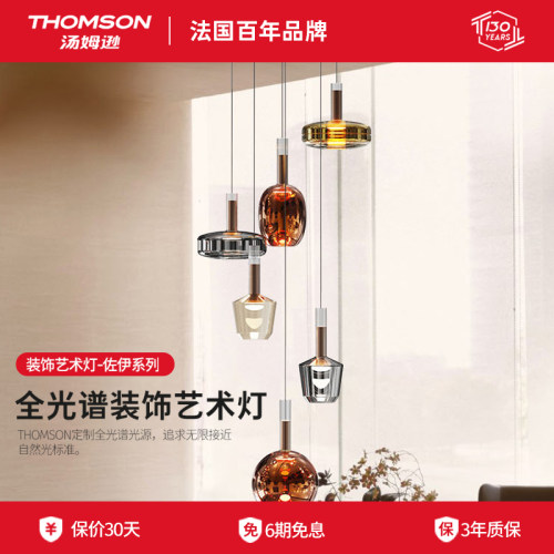 法国汤姆逊餐厅艺术吊灯