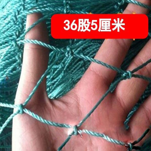 养殖防鸟网5厘米鸵鸟孔雀围护网