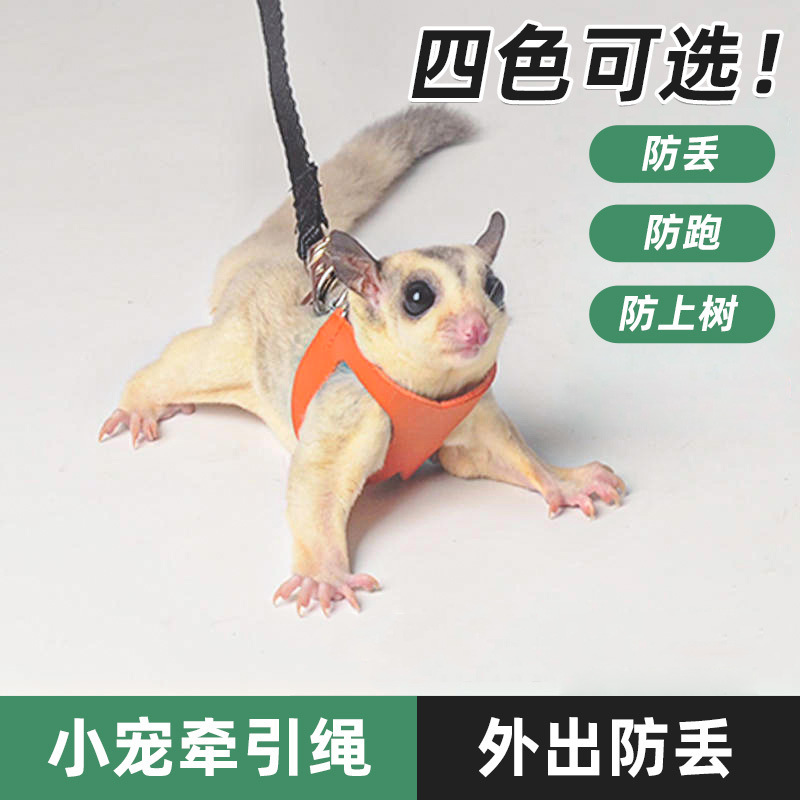 蜜袋鼯外出牵引绳 防逃脱安全背心 小宠溜宠绳蜜袋鼯专用舒适透气