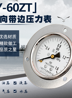 Y60ZT轴向带边压力表表盘固定安装式0-0.6/1/1.6/2.5/4/6/10Mpa