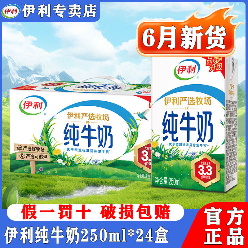 6月新货伊利纯牛奶250ml*24盒整箱端午礼盒送礼儿童营养早餐牛奶