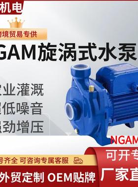 外贸NGAM家用漩涡式水泵增压泵220v/110v清水泵smc2Waterpump