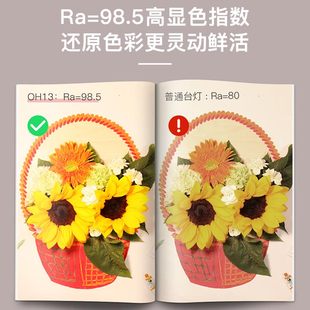 孩视宝护眼灯学生书桌看书学习专用儿童阅读国AA级护眼台灯OH13-V