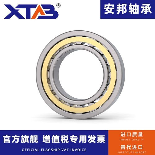 安邦圆柱滚子轴承RNU 202 203 204 205 206 207 EM