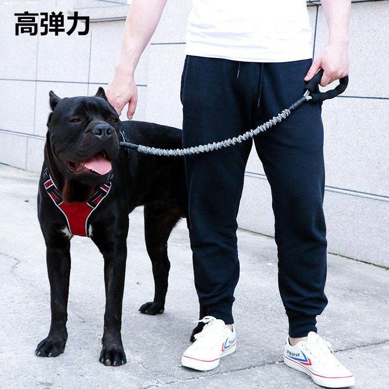 伸缩遛狗绳子大狗防爆冲宠物背心式狗狗牵引绳小型中型大型犬狗链