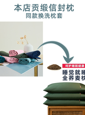 100支长绒棉贡缎枕套枕头套一对装家用单个信封枕30x50cm40x70cm