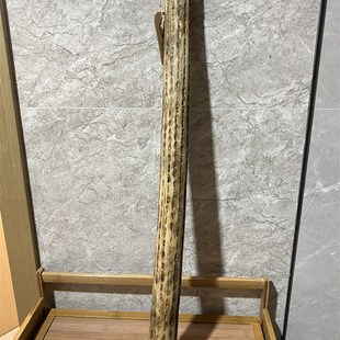 仙人掌雨棒雨棍音疗乐器雨声筒雨声棒仿下雨声疗愈睡眠瑜伽雨声器