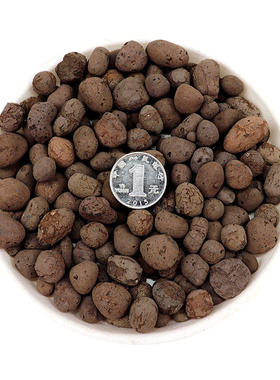 陶粒垫底碳球花卉盆栽多肉兰花铺面石防烂根透气回填卫生间包邮