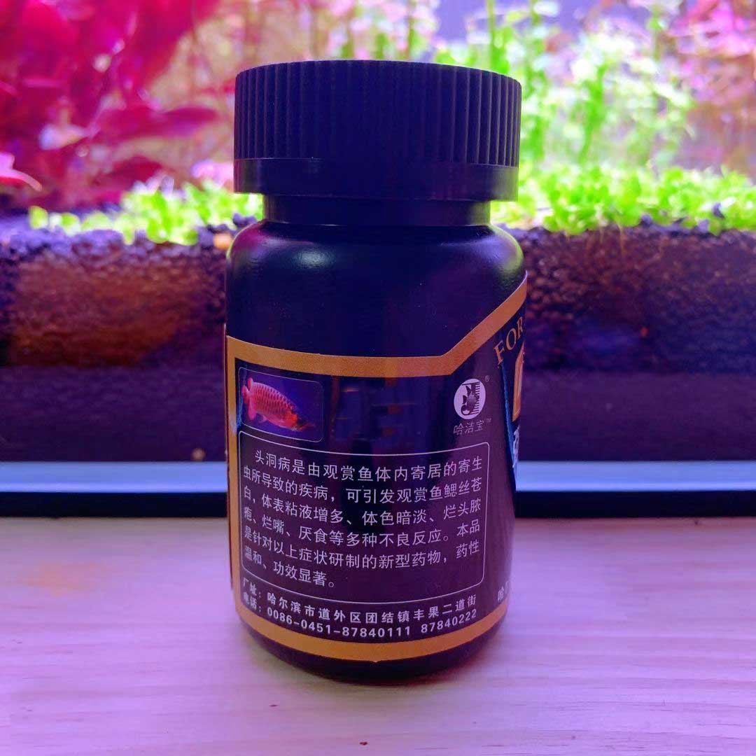 头洞病烂嘴发白鹦鹉罗汉发财鱼凸眼内寄肠炎药白便七彩观赏鱼药