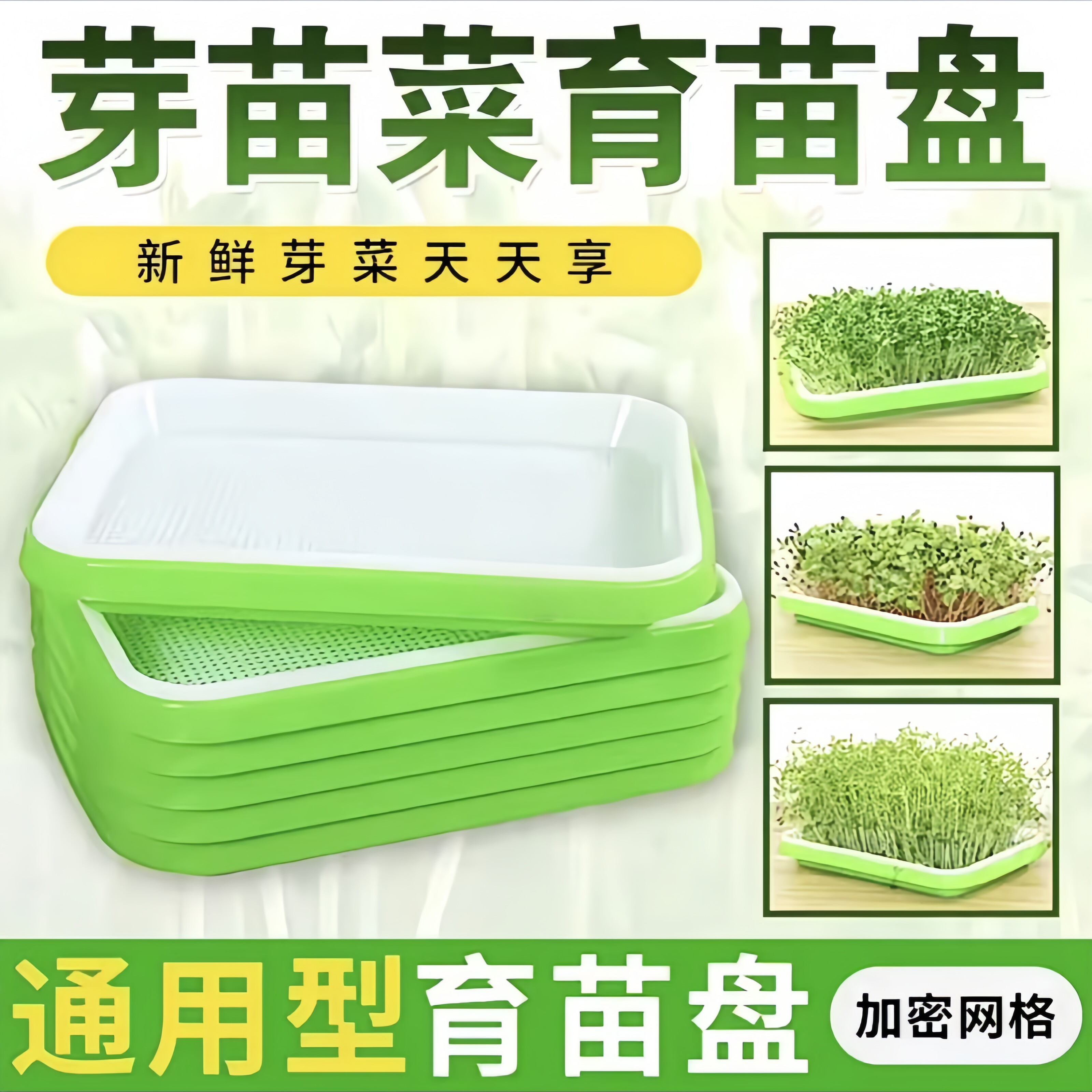 阳台水培无土蔬菜育苗盘