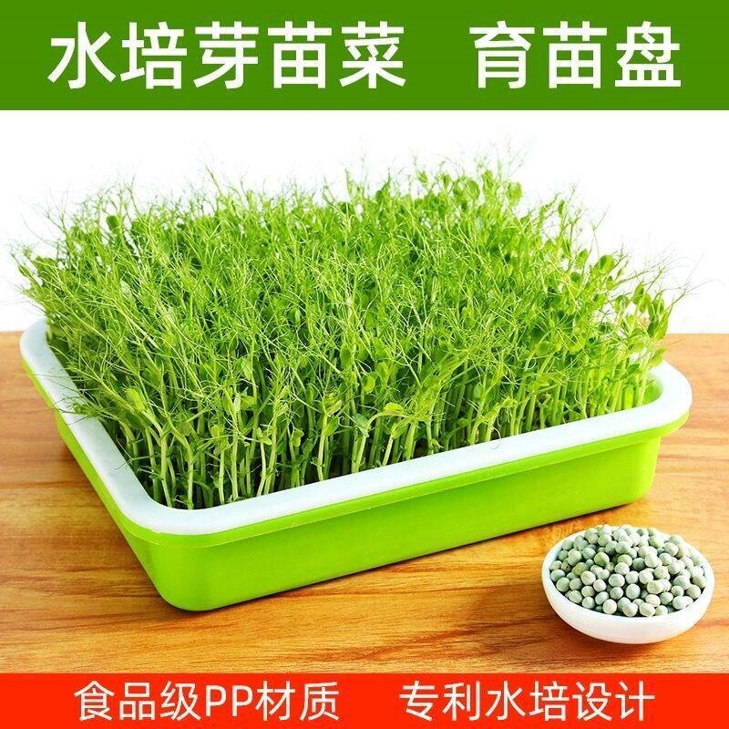 育苗盘芽苗盘菜阳台种菜盆水培蔬菜豆芽无土小麦蒜苗种植盘育苗盆