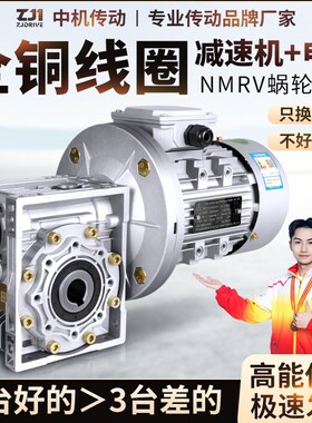 RV蜗轮蜗杆减速机带电机NMRV涡轮减速器电机一体38T0V变速箱齿轮