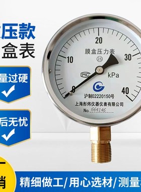 彤炜膜盒压力表YE100然气压力w表微压表千帕表6KPa10KPa 25KPa