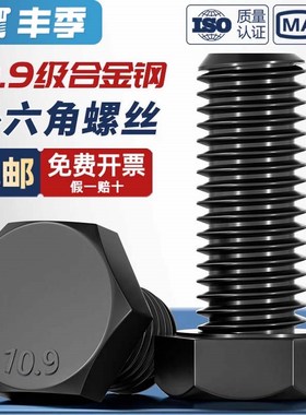 10.9级高强度外六角螺栓 4p0Cr螺丝MM8M1012M14M16M20M24M30M36M4