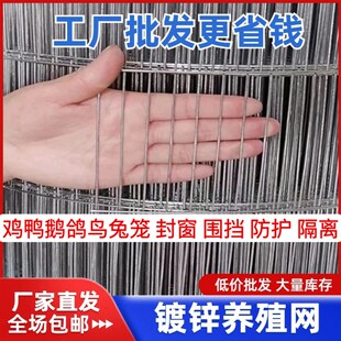 铁丝网围栏鸡笼渡锌钢丝网鸡圈兔子笼鸡鸭围O栏网做鸟笼鸽子笼封