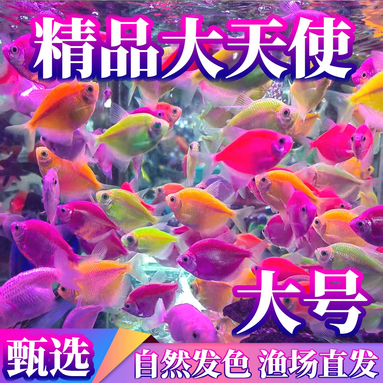 潮流精品，品质保证