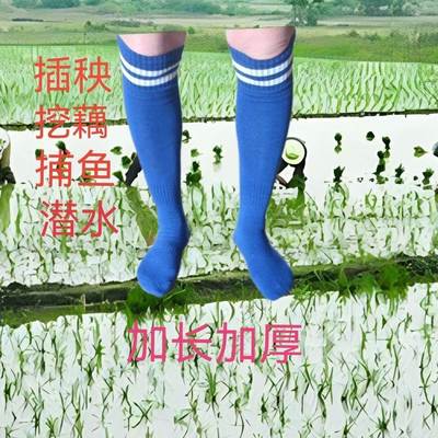 稻田袜过膝下田插秧水袜子种田专用水田袜子防水蛭防磨脚加厚长筒