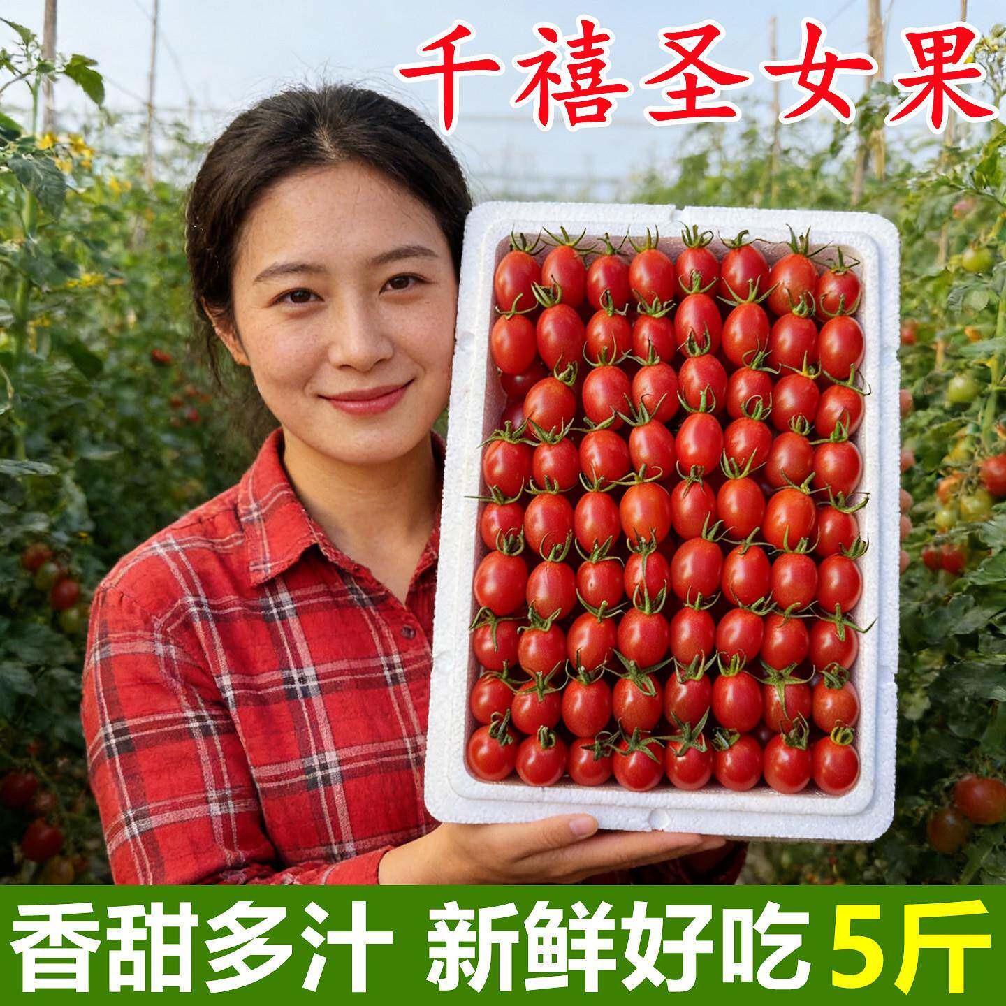 正宗千禧小番茄圣女果超甜5斤当季新鲜孕妇水果樱桃小西红柿整箱