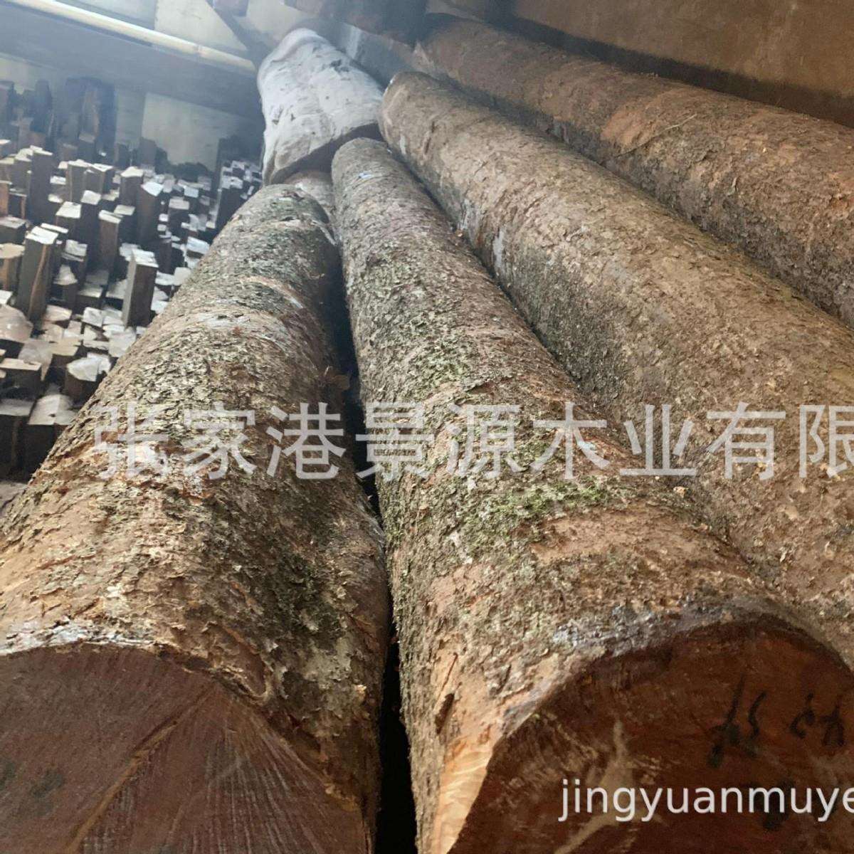 四川金丝楠原木小叶桢楠家具料金丝楠木花纹美丽