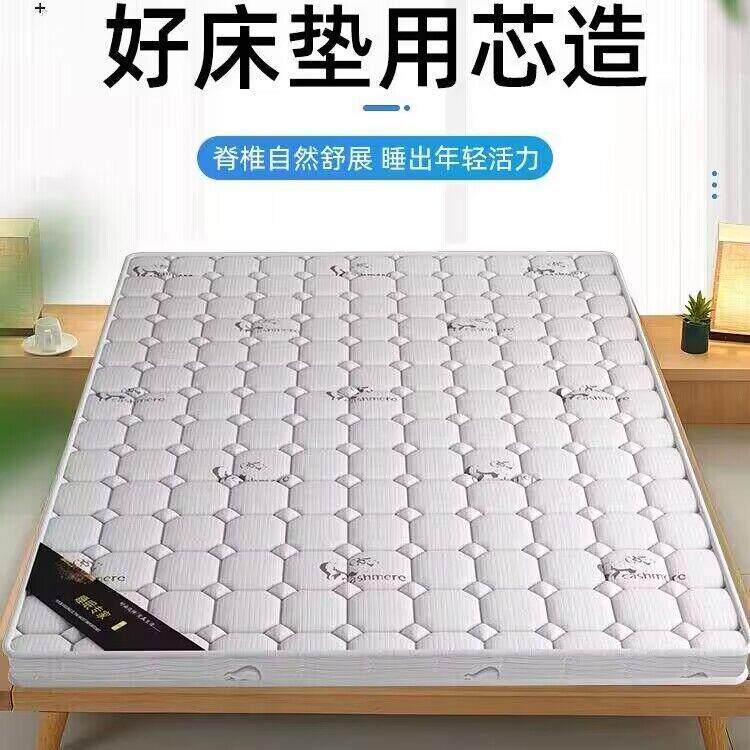 椰棕床垫学生儿童护脊椎硬床垫家用偏硬榻榻米环保薄棕榈床垫子
