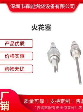天时点火棒检测电极火花塞1304723045100197281002242-113093
