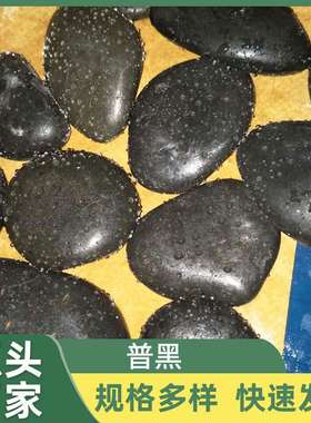 黑色鹅卵石普抛园林景观铺路工程石 庭院装饰纯黑色卵石