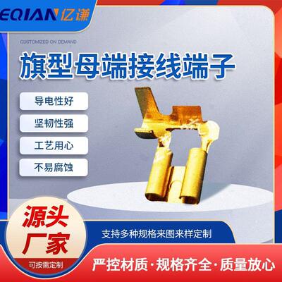 东莞五金连接端子205 旗型母端接线铜端子 保险丝端子插接件75411