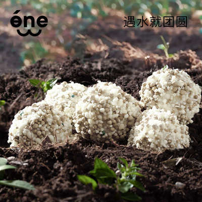 白一万是只猫混合猫砂植物除臭无尘猫沙不粘底膨润土木薯猫砂矿砂