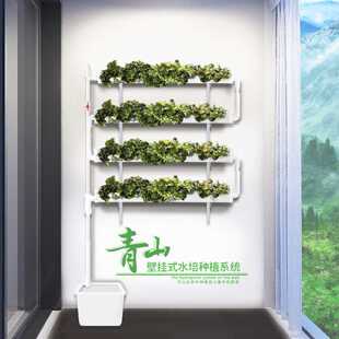 青山家庭阳台生产蔬菜管道水培设备无土栽培基质 幸运买家挂壁式