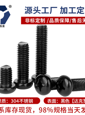 PM5x65x25户外黑色防锈圆头螺丝不锈钢高盐雾耐腐蚀达克罗GB818
