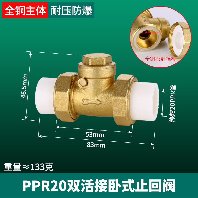PPR止回c阀卧立式双活接4分6分全铜20/25逆止热熔自来水管表单向